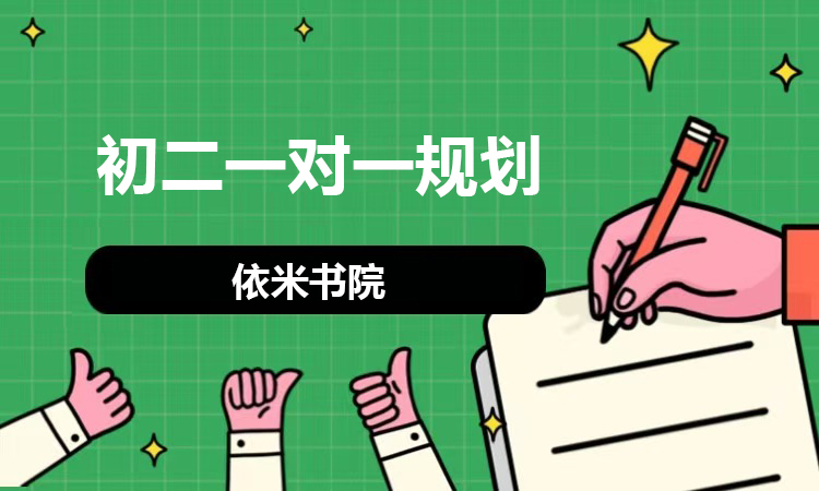 初二一对一规划